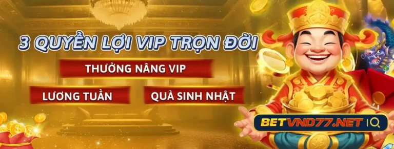 betvnd88 com